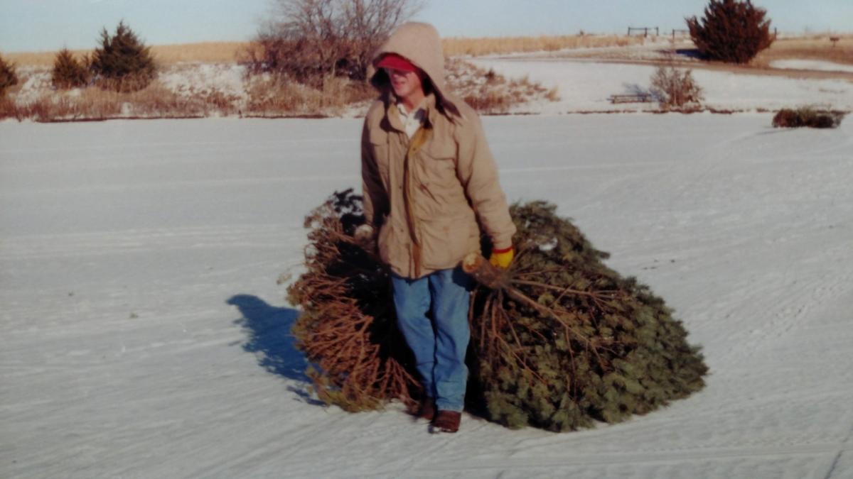 Ken Feather Sinks Trees