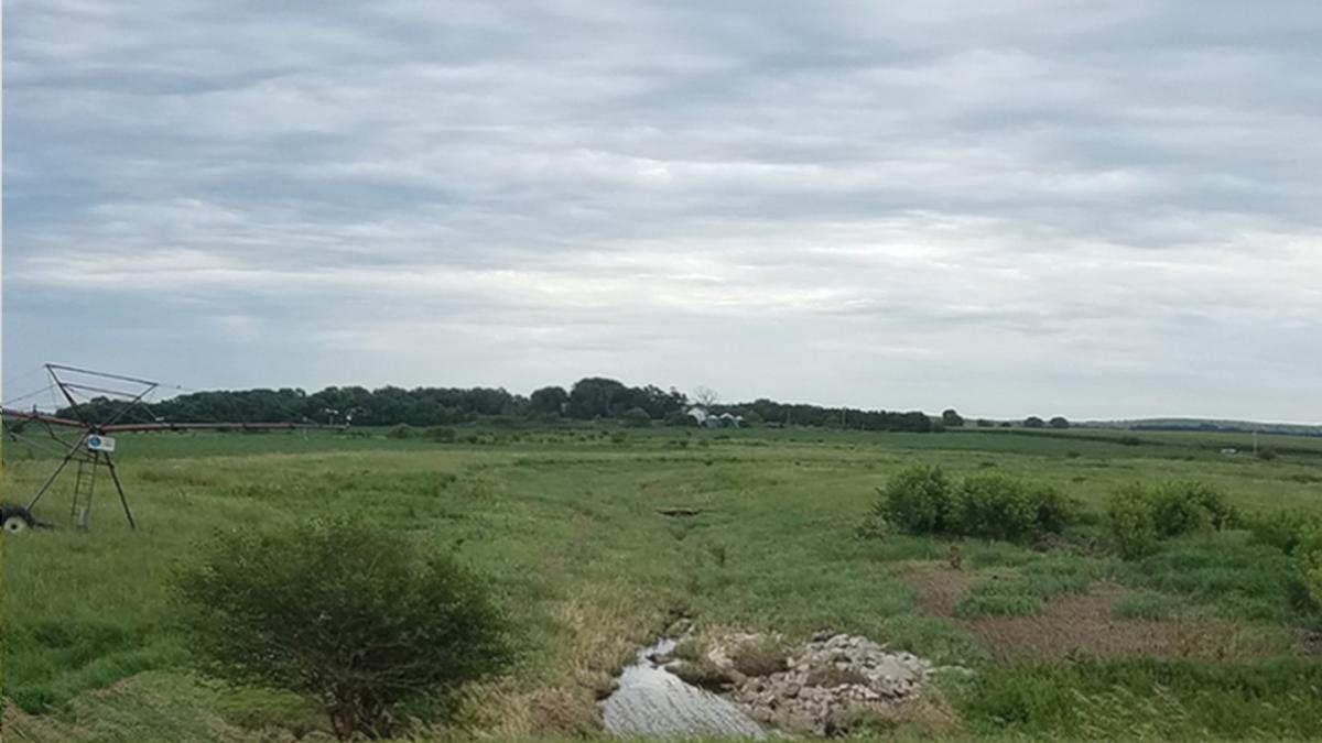 buffer strip after storm