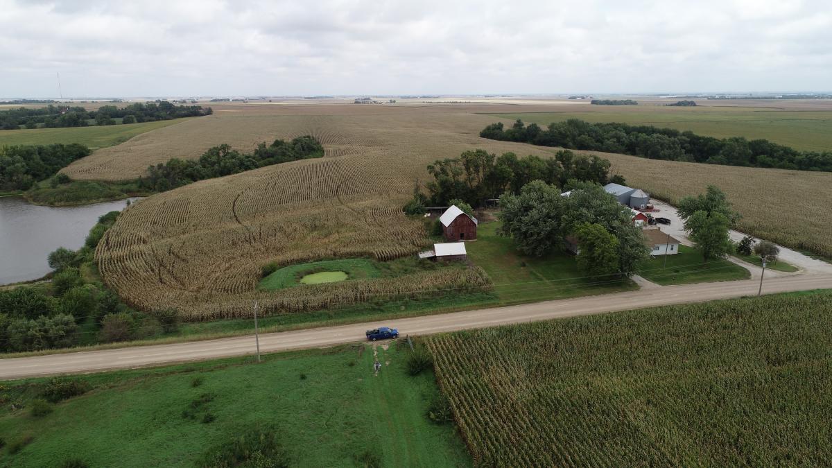 Farmstead with windbreak shelterbelt trees