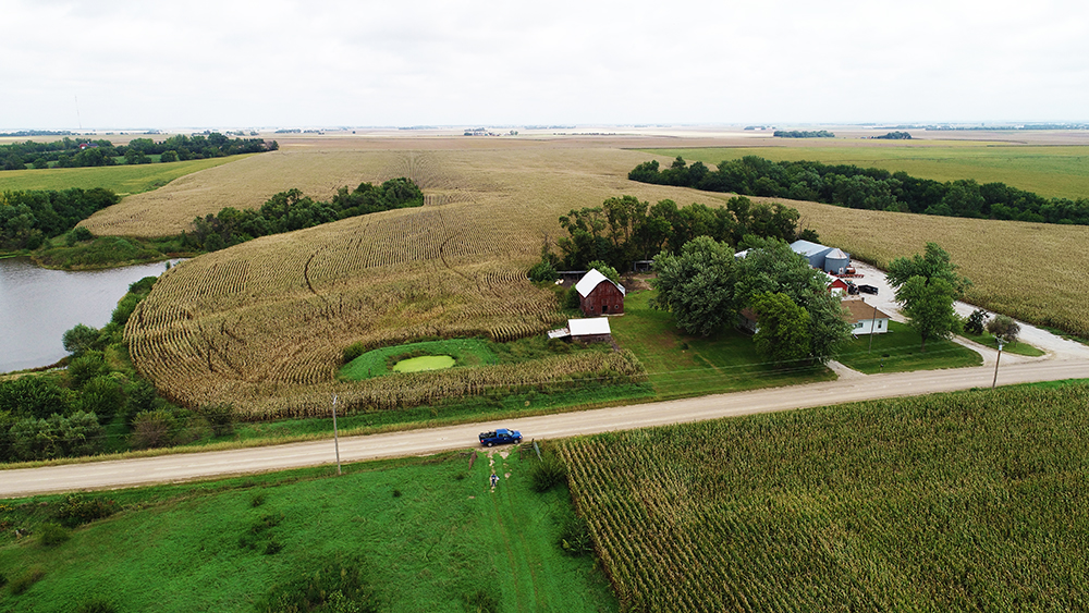 Farmland near Milford improved with windbreaks