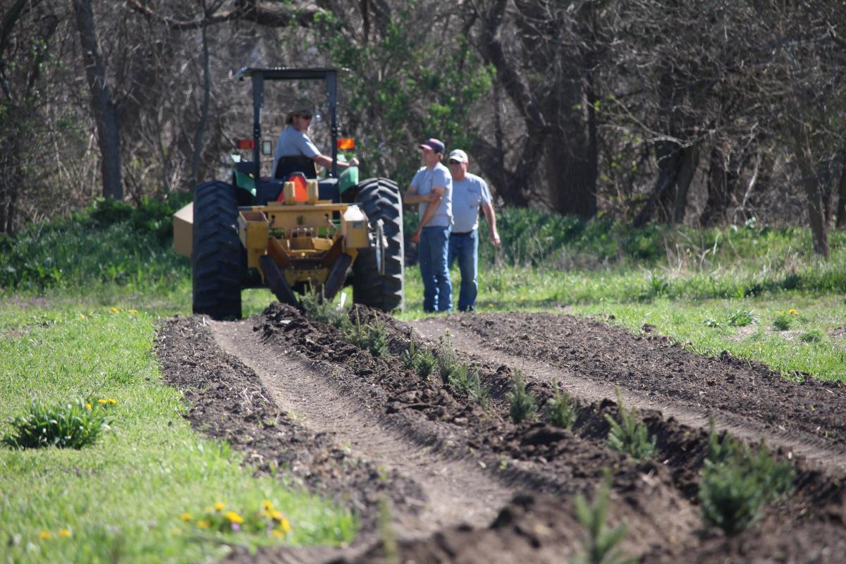 Planting trees at Stromsburg's Buckley Park in Spring 2020