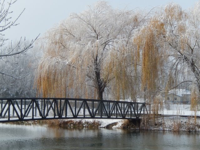 Fresh Snow at Boys Pond in Geneva