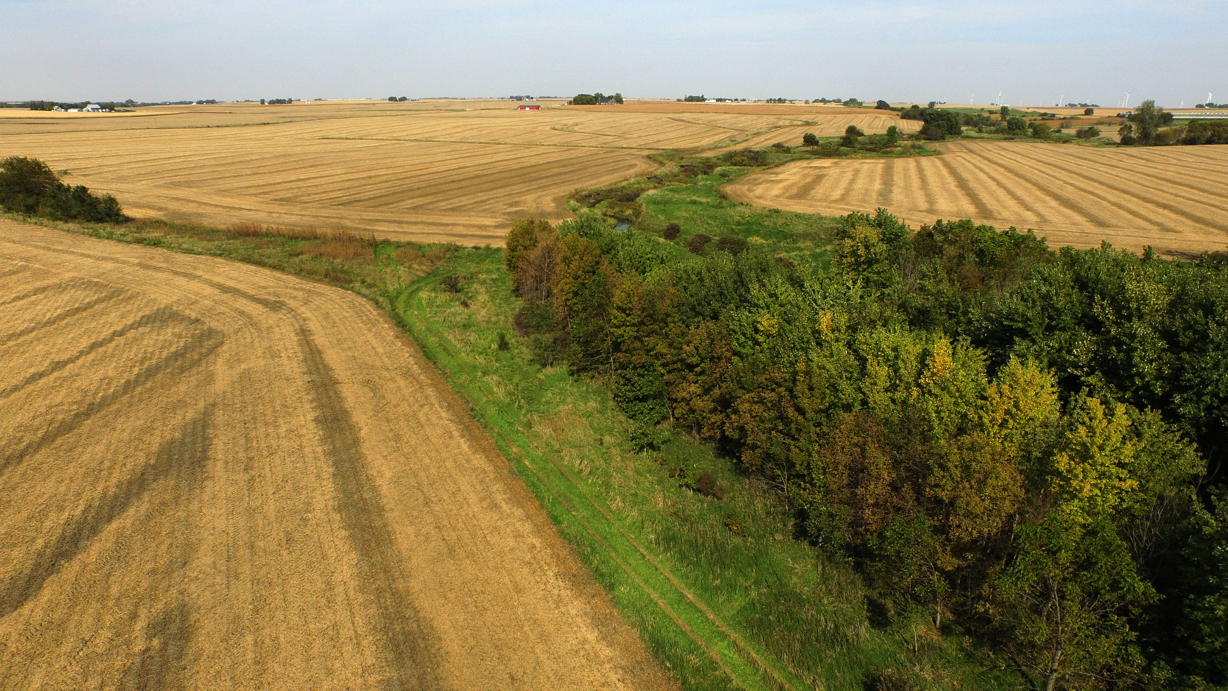 buffer strip