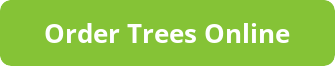 Order Trees Online