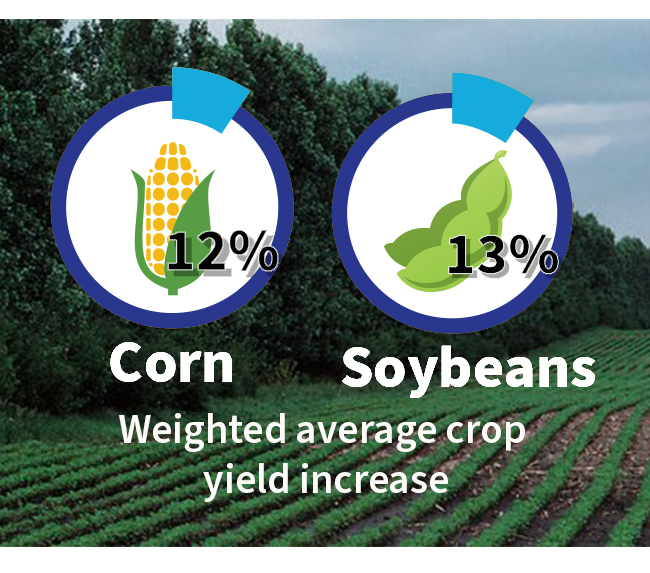 corn and soy