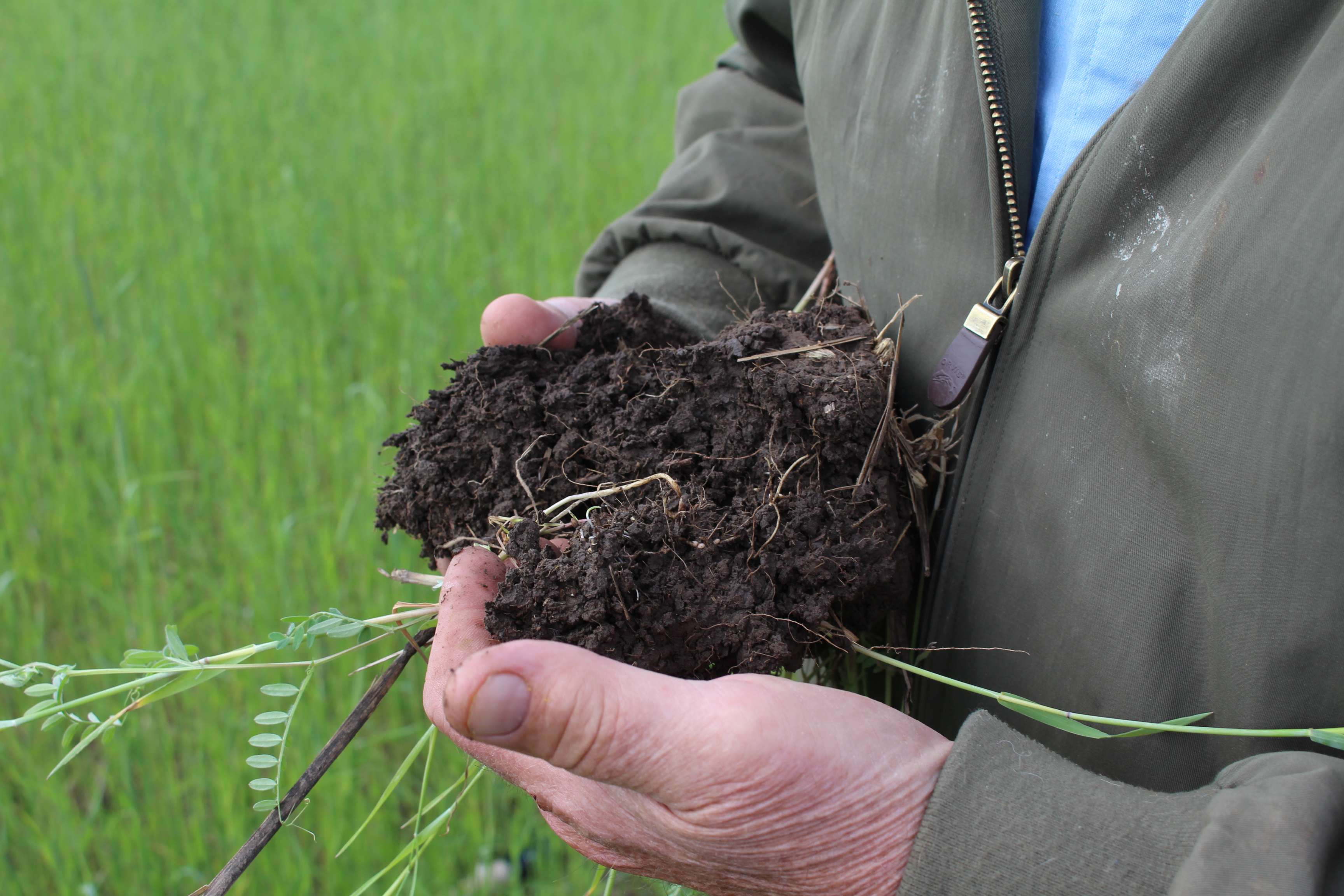 soil health