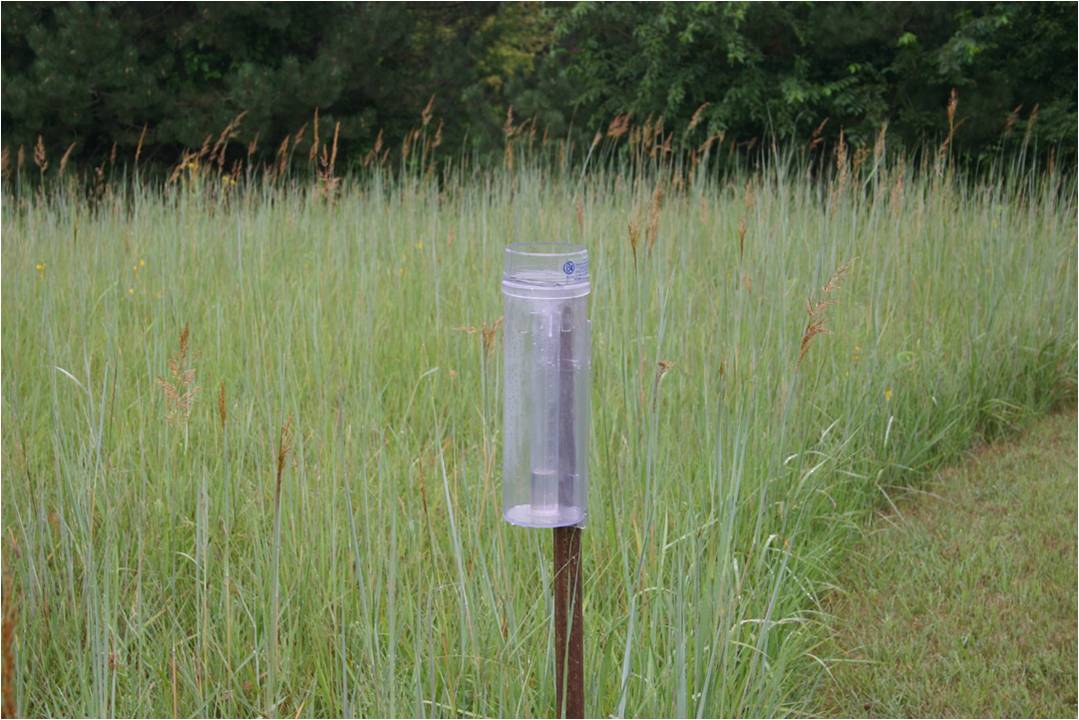 rain gauge