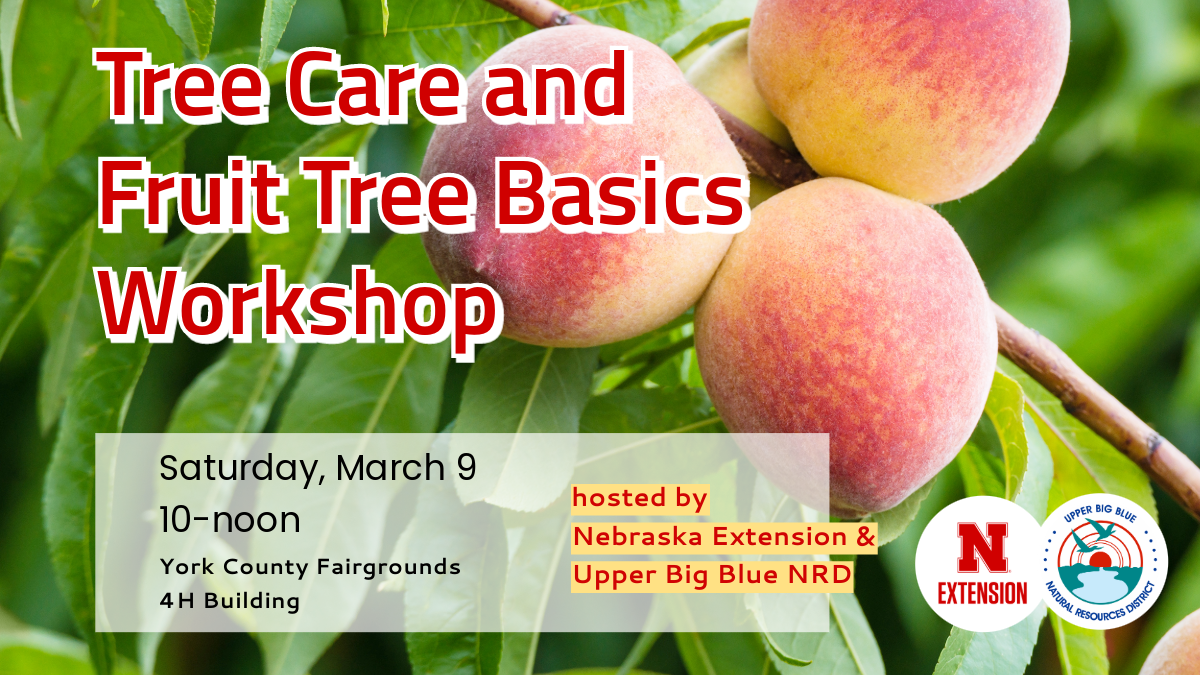 tree care