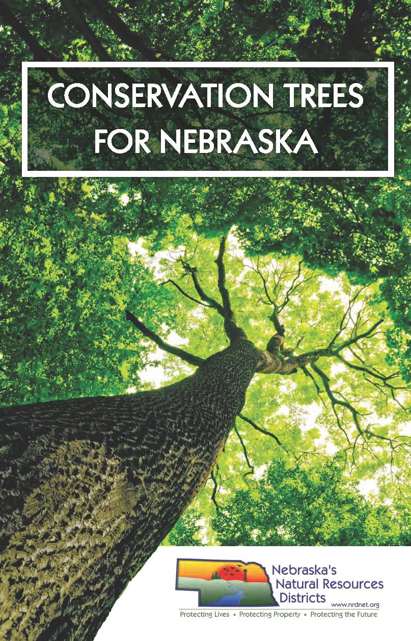 image of cottonwood tree on the cover of the booklet titled Conservation Trees for Nebraska