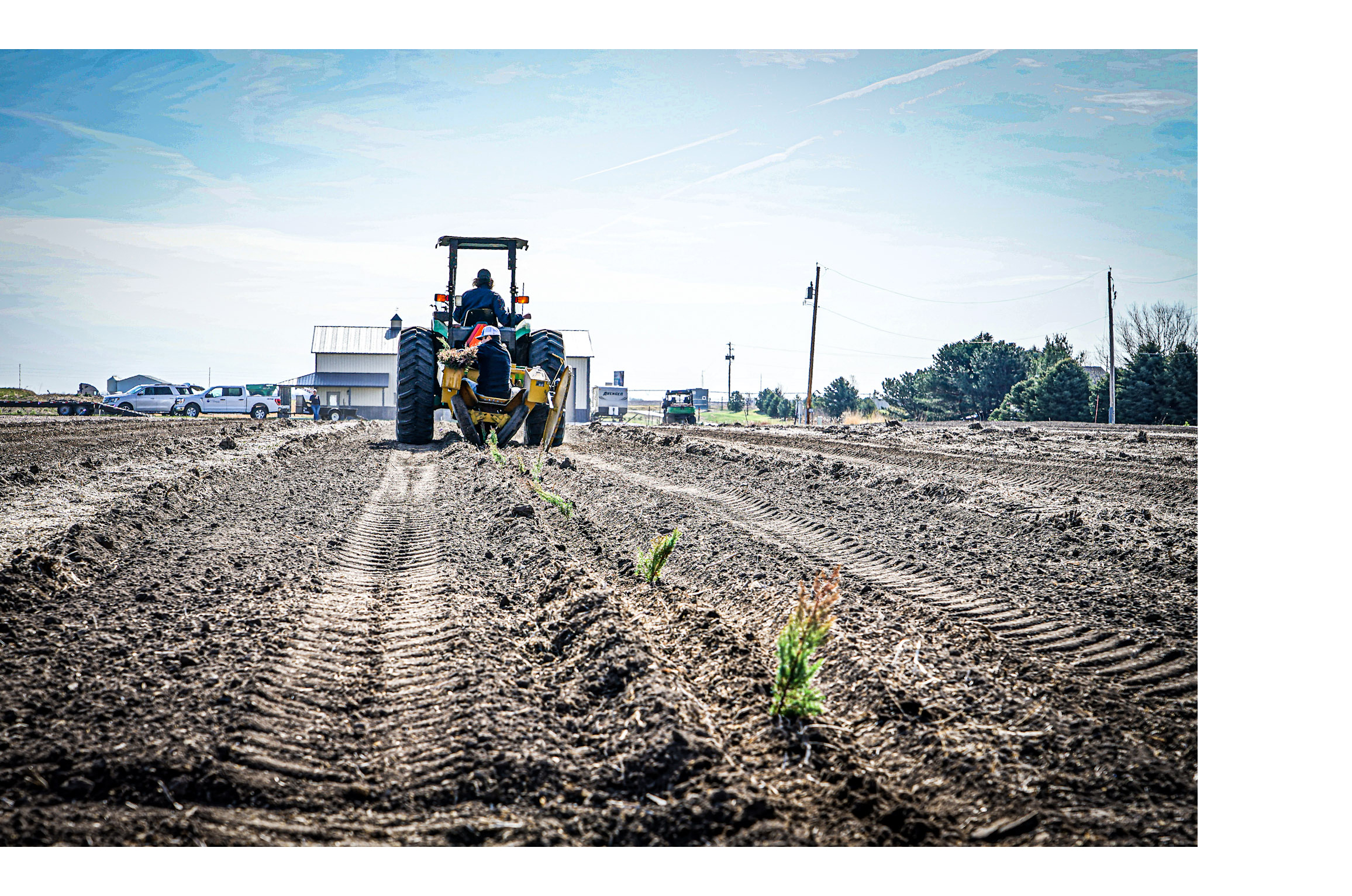 machine planting