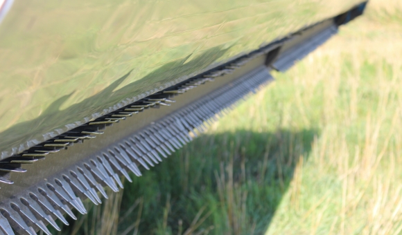 striper head for triticale harvest