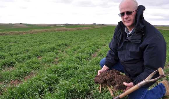 man with healthy soil sample