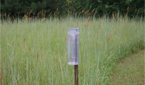 rain gauge