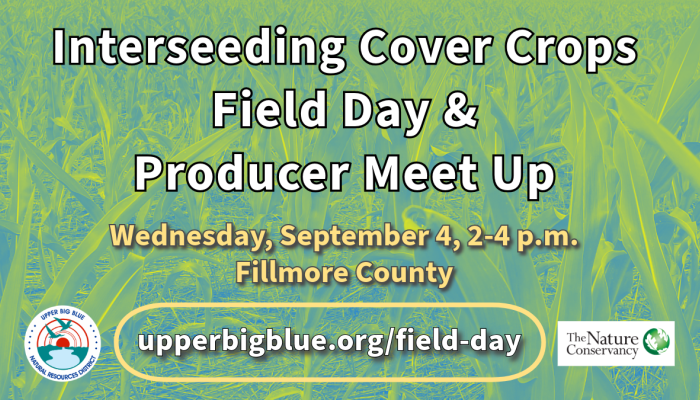 field day