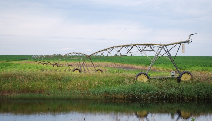 pivot wetland