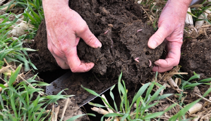soil health