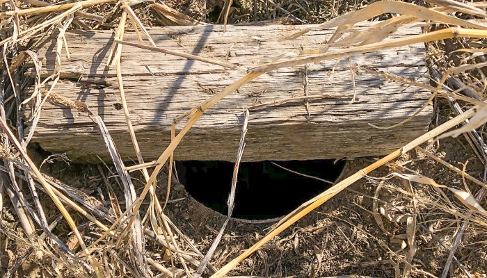 old well