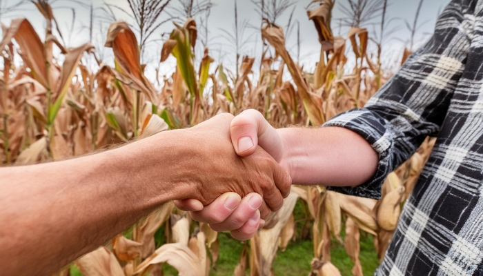 handshake