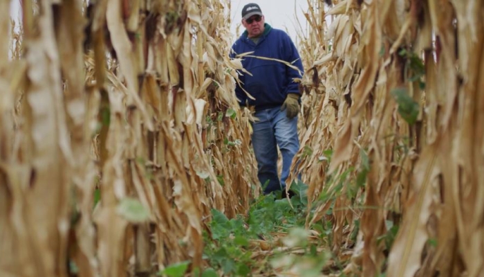 Funds Available to Help Producers Add Soil Carbon Conservation Practices