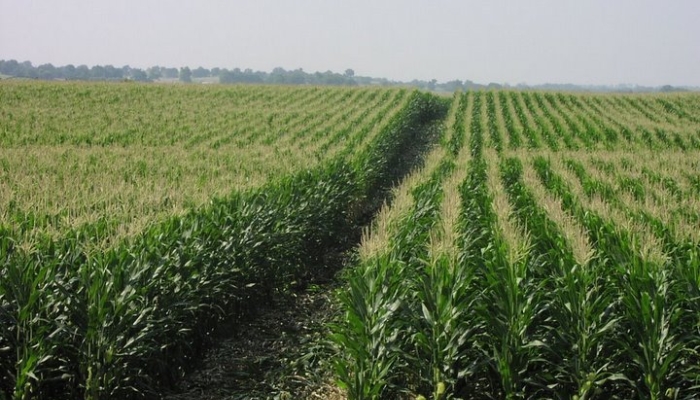 ​Bonus! Nitrogen Management Training Date Added