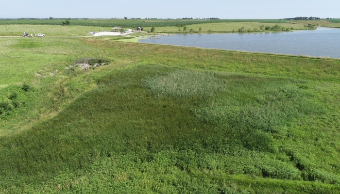 Invasive species removed from Oxbow Trail