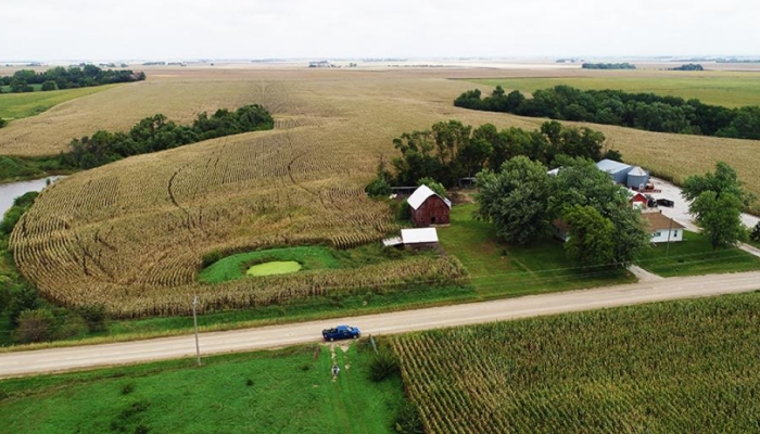 farmstead improved with trees