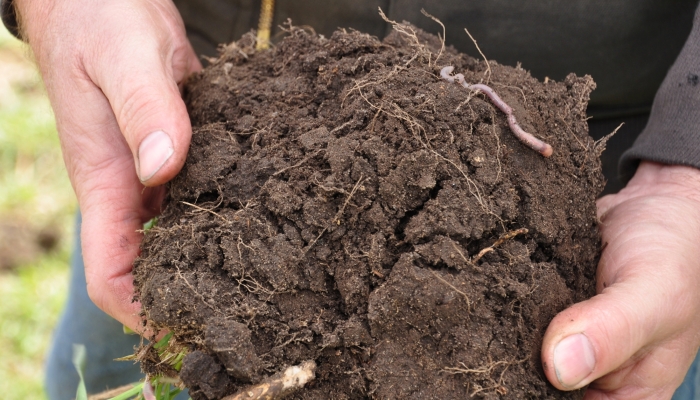 soil health