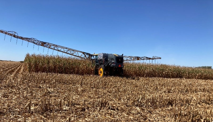 ​No-cost cover crop option for some producers