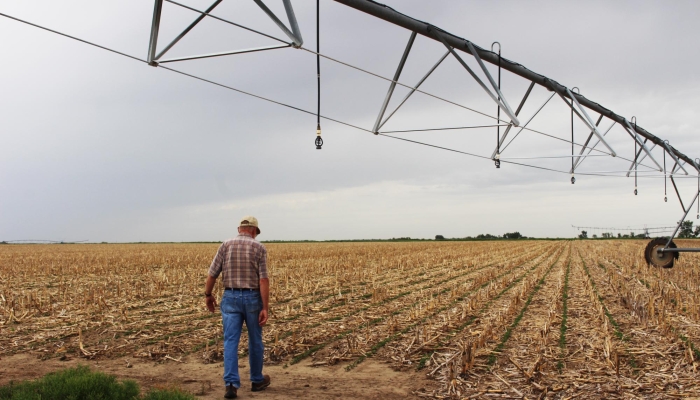 Groundwater Quality Sampling Schedule