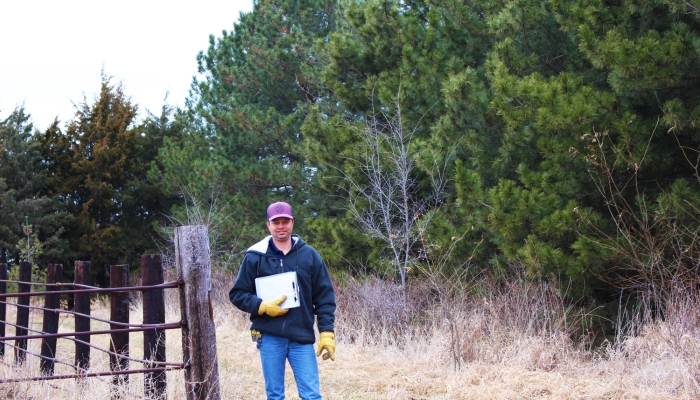 Man with mature tree windbreak