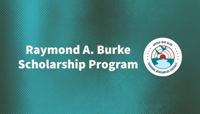 Burke Scholars