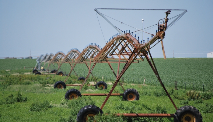 irrigation