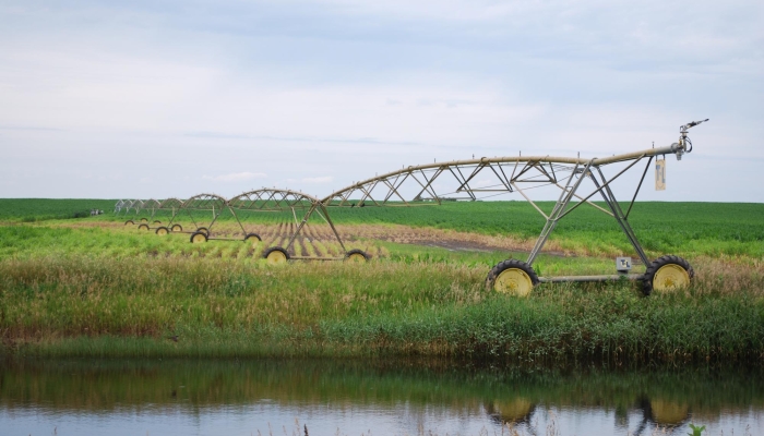 Protecting and Restoring Nebraska's Wetlands