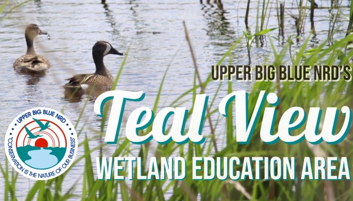 ​A Visit to Teal View