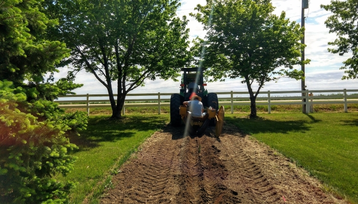 kyle tree planting