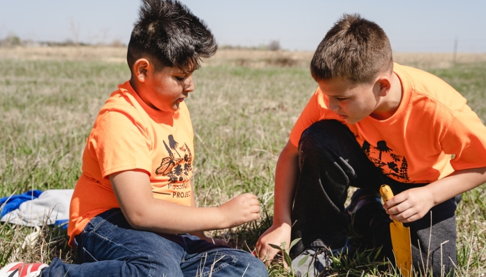 boys plant