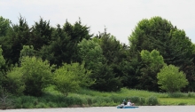 paddle boat