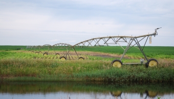 pivot wetland