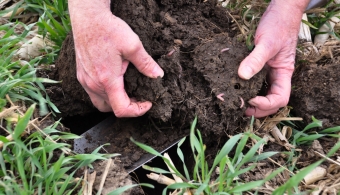 soil health