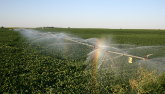 center pivot watering soybean field