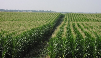 ​Bonus! Nitrogen Management Training Date Added