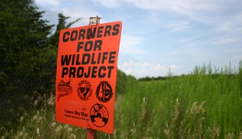 corners for wildlife