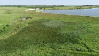 Invasive species removed from Oxbow Trail