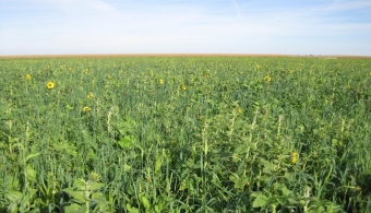 Better Soil, Better Health—For Plants and People