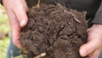 Save The Soil