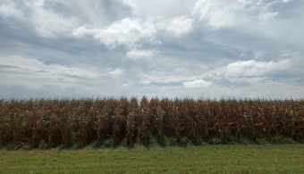 ​Nitrogen Levels in Groundwater Lead to Increased Management