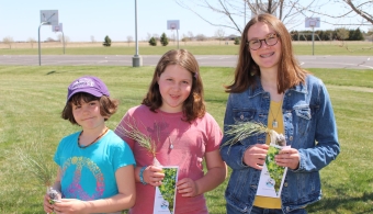 Arbor Day Fun