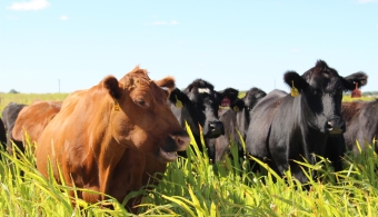 Soil Health Still GROWing in Demonstration Fields